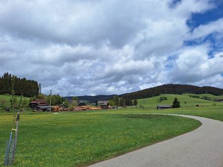 Das Bild zeigt einen Weg mit der Säge in Langenordnach